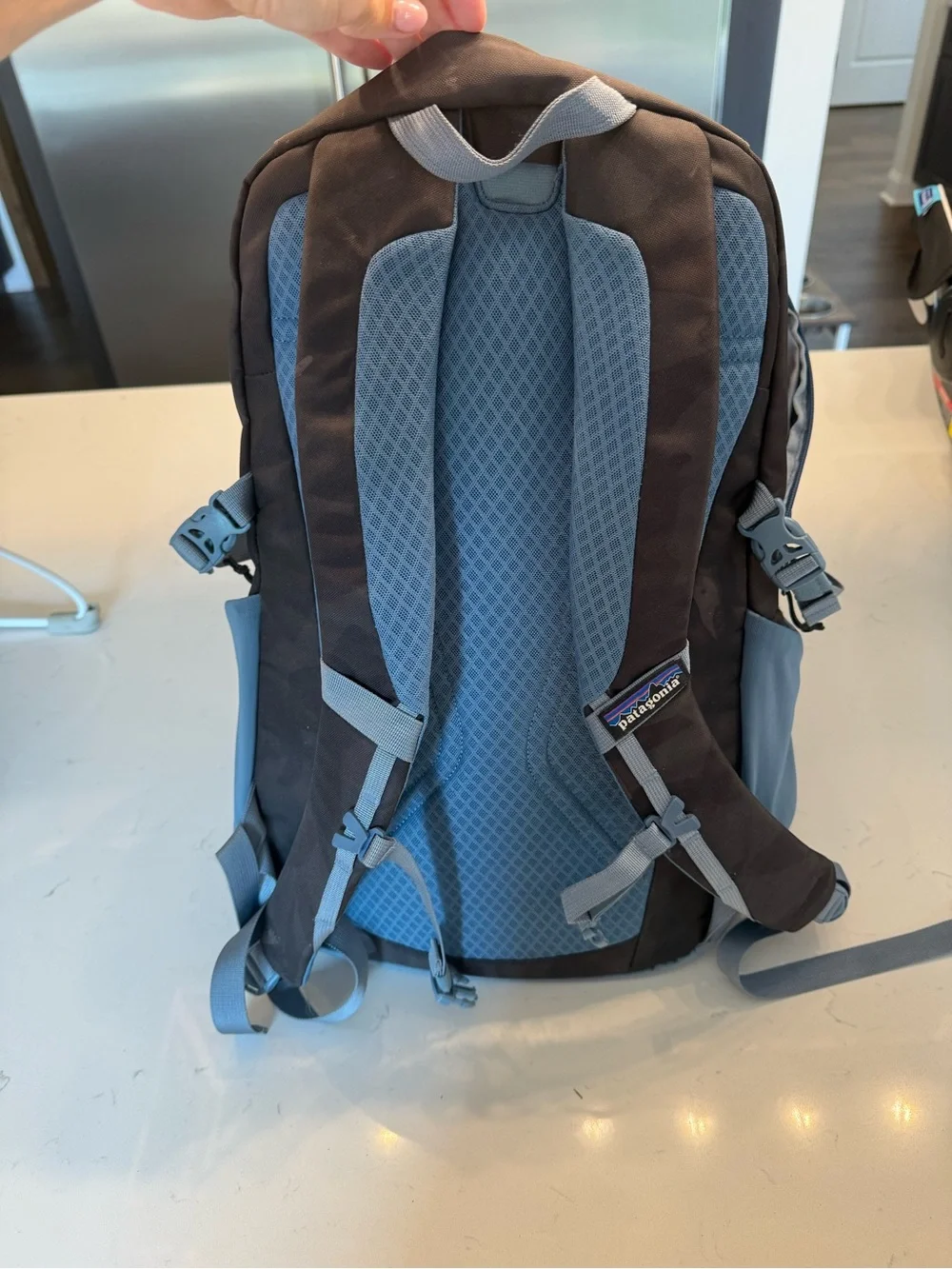 Patagonia Blue and Brown Hiking Backpack with Padded Back